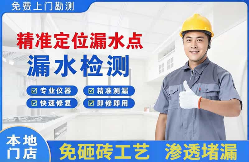 李石精准测漏点